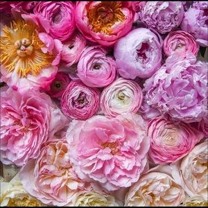 Meet your Posher, Livia